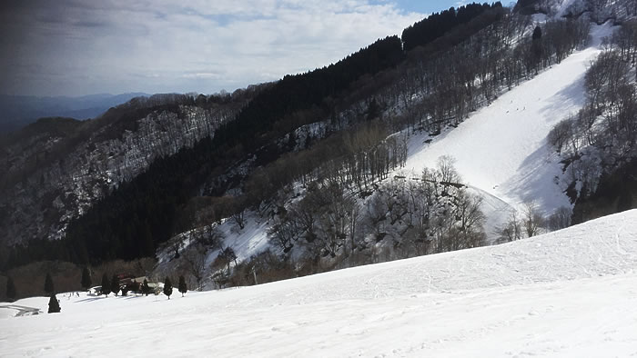 �l�G�̐X�R�[�X