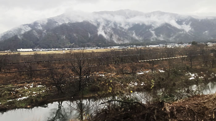 ���M�n�t��