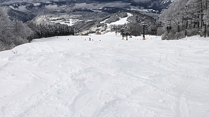 �t�@���^�W�[�T�C�g