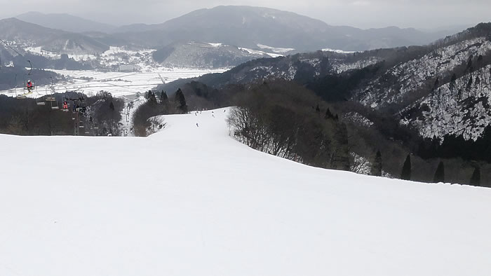 ロマンスコース