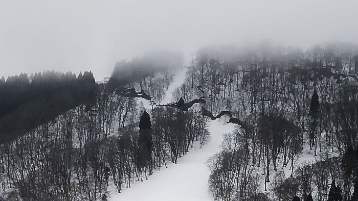 四季の森コース